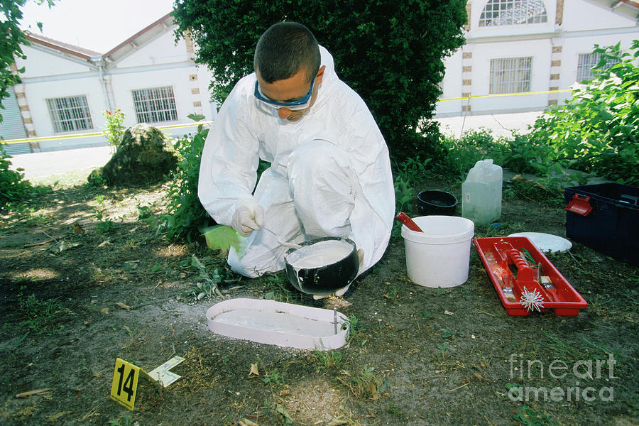 Forensics Officer Taking A Footprint Cast Photograph by Philippe Psaila