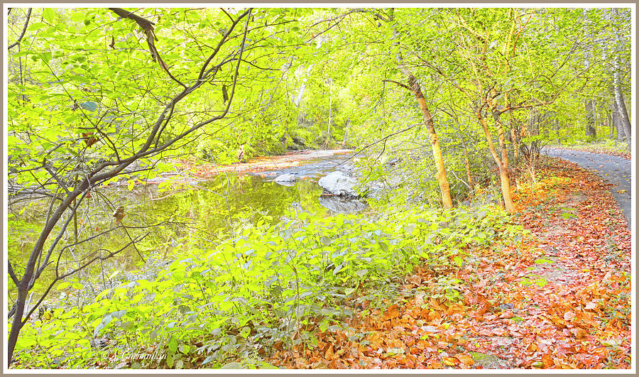 Forest Path in Autumn #1 Digital Art by A Macarthur Gurmankin