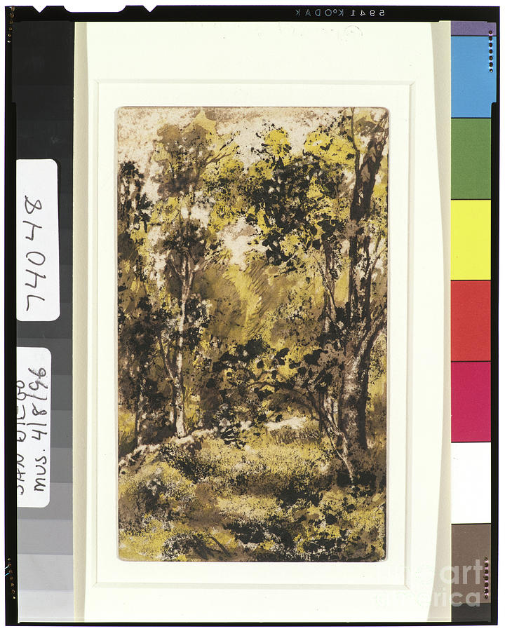 Forest Scene, 1901-15 Painting by Ralph Albert Blakelock