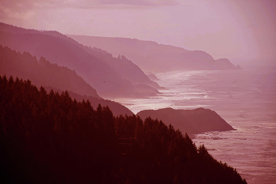 Forested Slopes Of Cape Perpetua Photograph