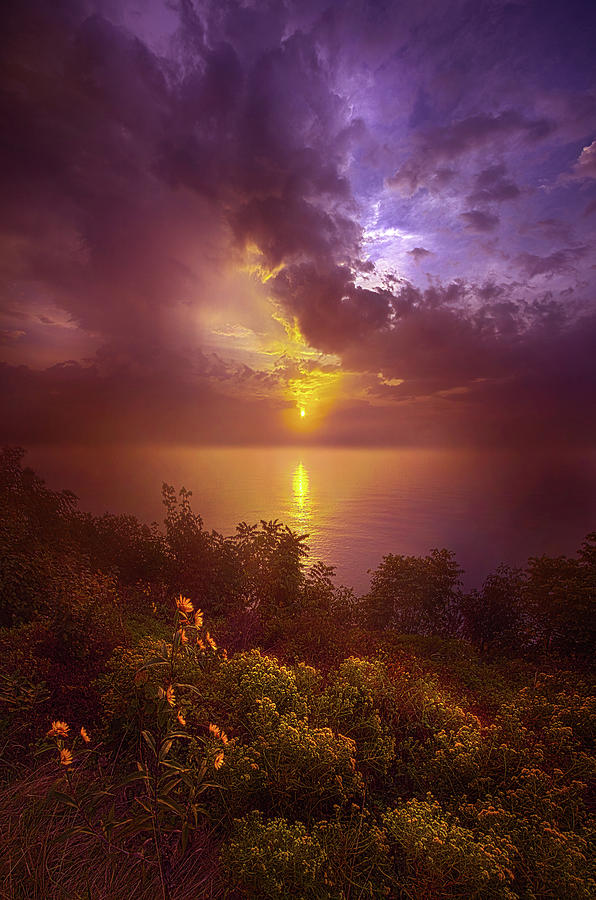 Forever And A Day #1 Photograph by Phil Koch