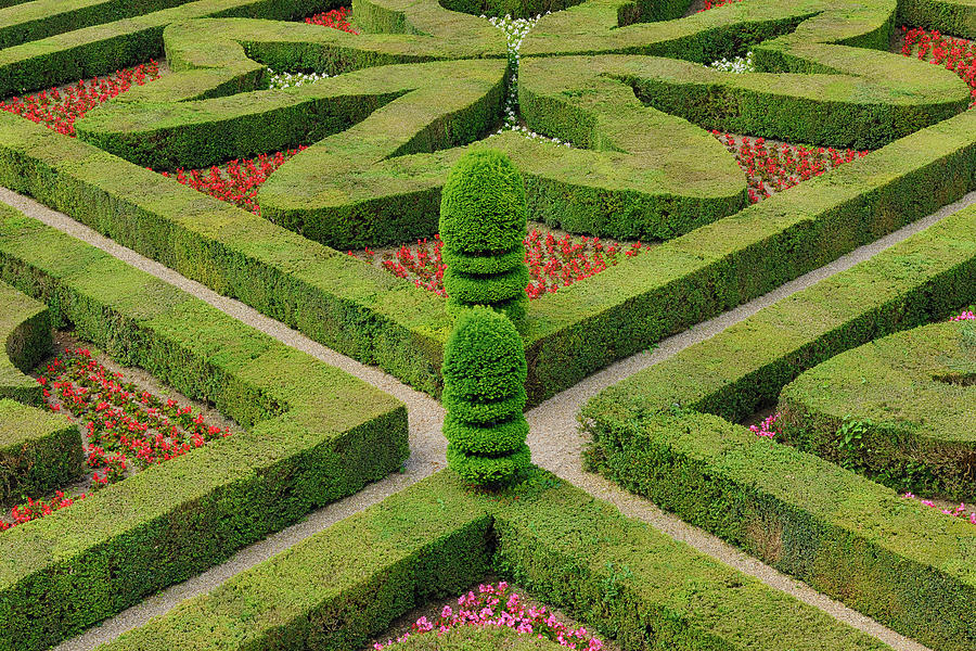 Formal Hedged Garden Of Villandry #1 Photograph by Martin Ruegner