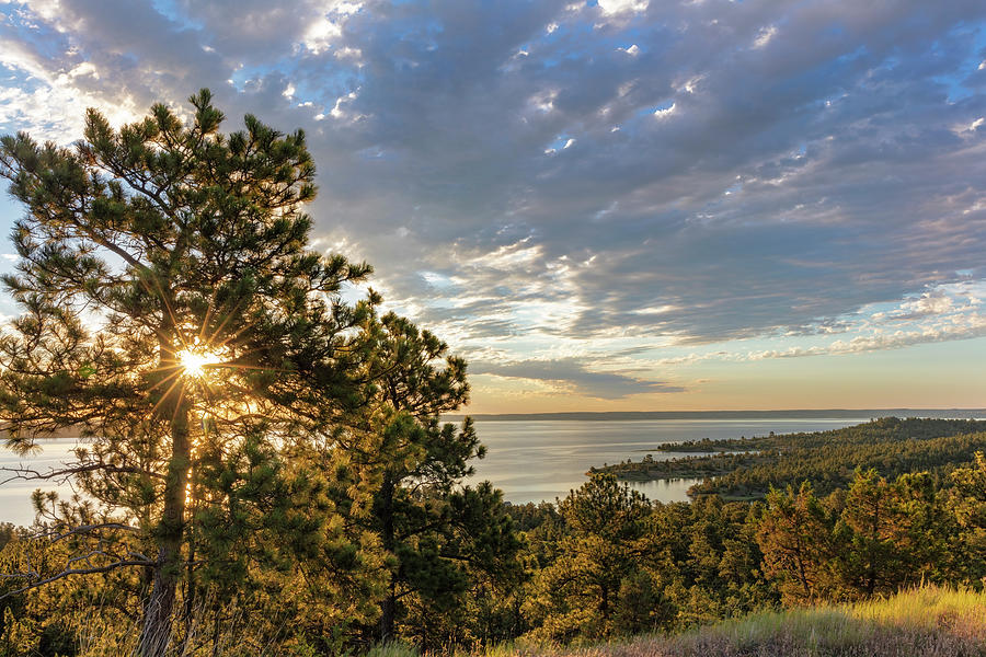 Summer Photograph - Fort Peck Reservoir From The Pines #1 by Chuck Haney