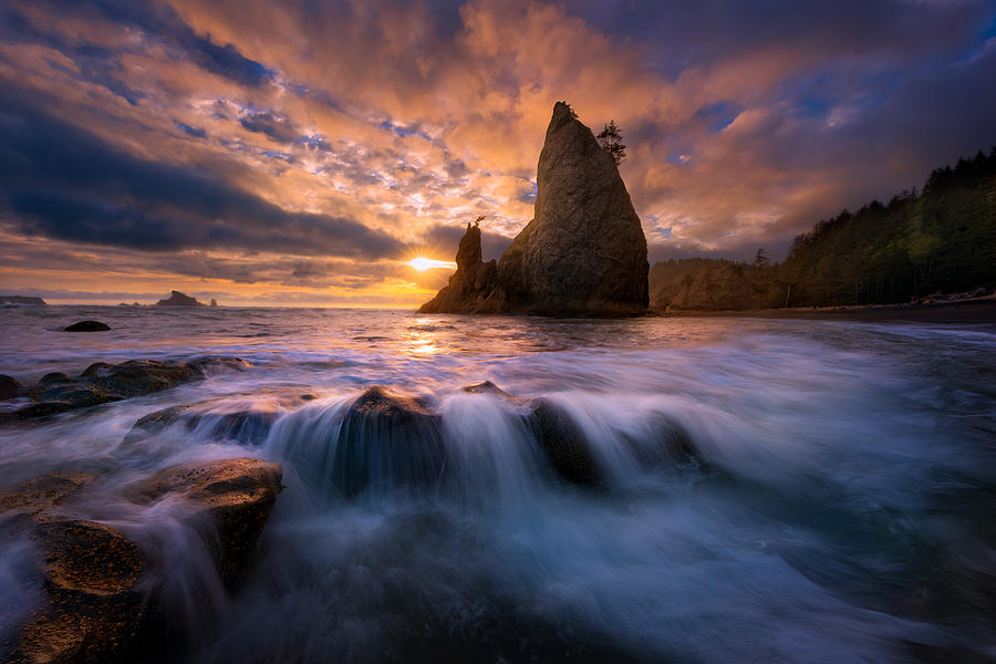 Olympic National Park Photograph - Fractured #1 by Chris Moore