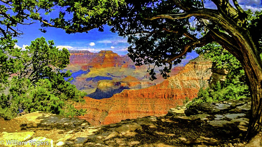 Framing the Grand Canyon Photograph by William E Rogers - Fine Art America