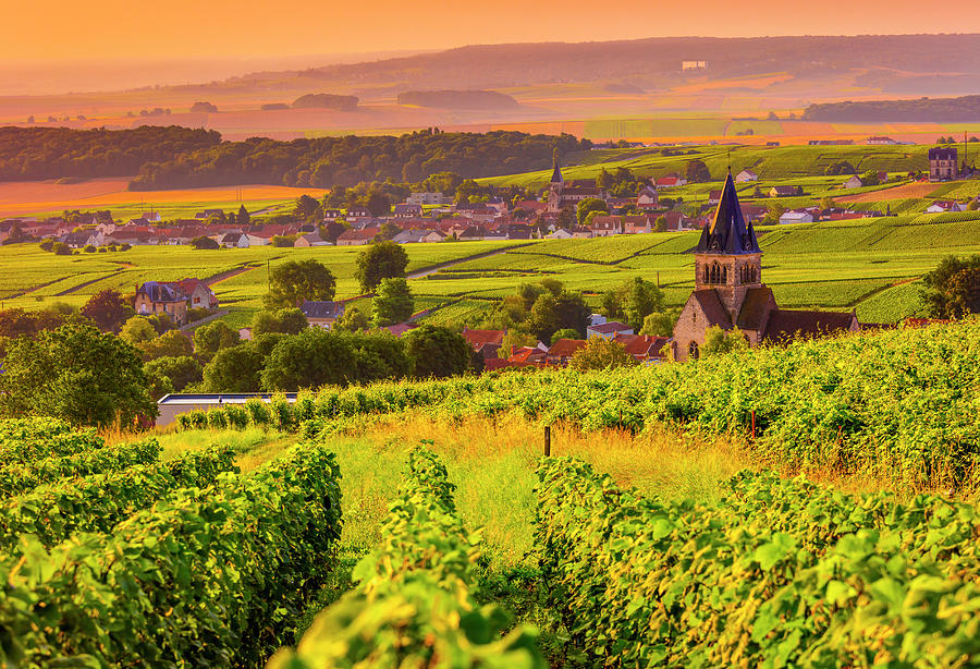 France, Grand Est, Ville-dommange, Champagne, Marne, Champagne Vineyards In Summer #1 Digital Art by Olimpio Fantuz