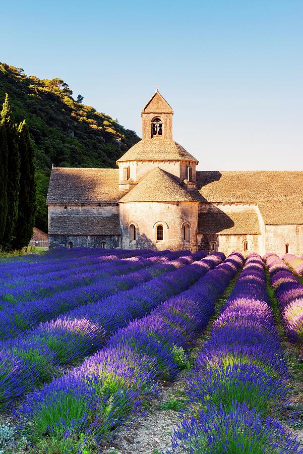 France, Provence-alpes-cote Dazur, Gordes, Senanque Abbey, Lavender Field At Senanque Abbey #1 Digital Art by Jordan Banks