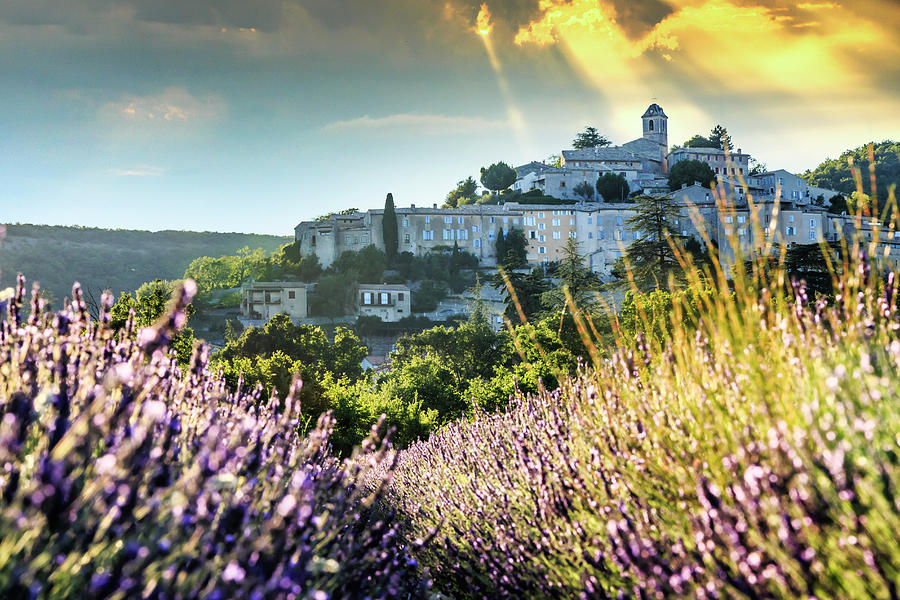 France, Provence-alpes-cote Dazur, Provence, Banon, Lavender Field Near Valensole #1 Digital Art by Maurizio Rellini