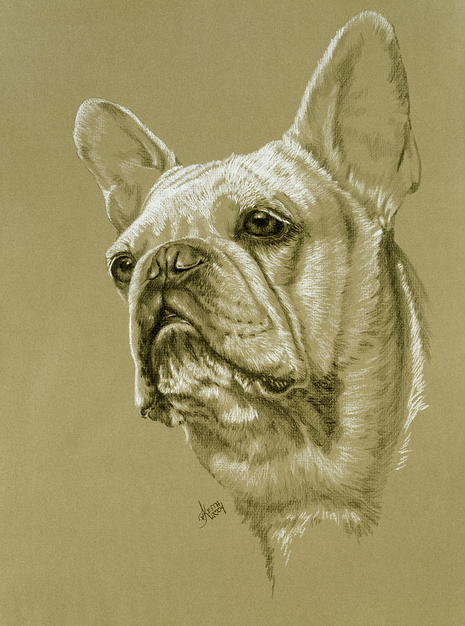 Dog Painting - French Bulldog #1 by Barbara Keith