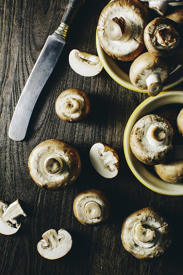 Fresh Champignon Mushroom #1 Photograph by Mateusz Siuta