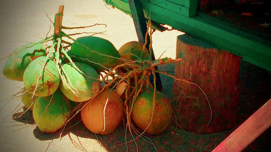 Fresh Coconuts Photograph by Debra Grace Addison
