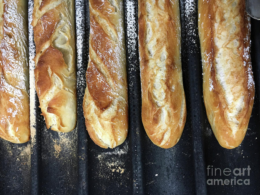 Artisan Photograph - Fresh French Sticks by Tom Gowanlock Artisan Photograph - Fresh French Sticks by Tom Gowanlock