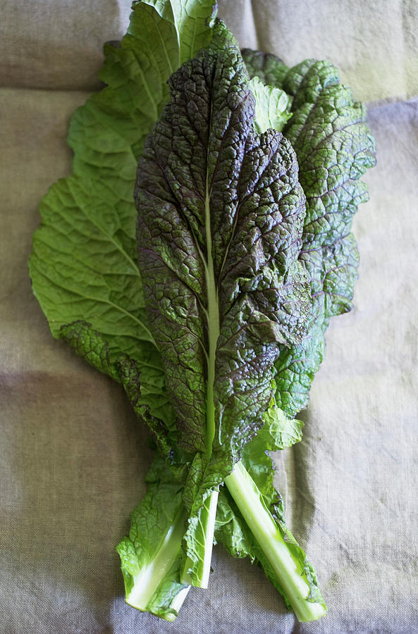 Fresh Kale Leaves seen From Above #1 Photograph by Eising Studio