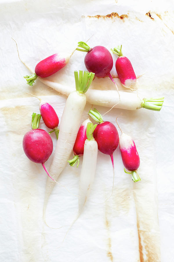 Fresh Radishes, Red And White #1 Photograph by Sabine Lscher