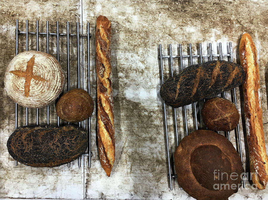 Freshly baked artisan bread by Tom Gowanlock Freshly baked artisan bread by Tom Gowanlock