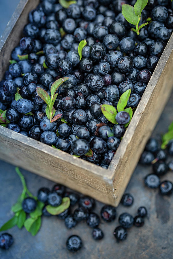 Freshly Picked Blueberries In A Wooden Crate #1 Photograph by Eising Studio