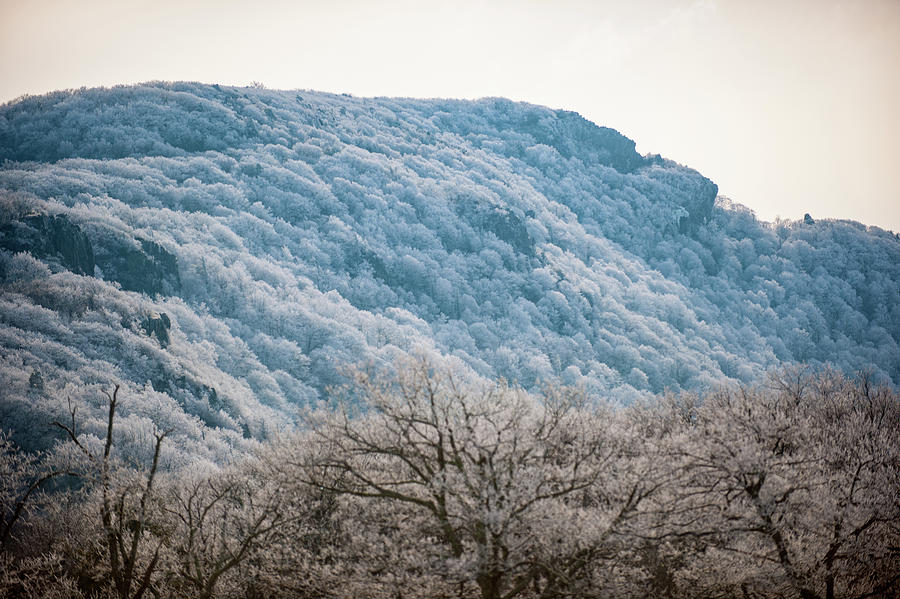 Frost on the Mountain #1 Photograph by Mark Duehmig