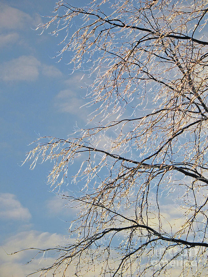 Frozen Stiff by Ann Horn Frozen Stiff by Ann Horn