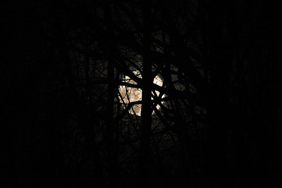 Full Moon #1 Photograph by David Stasiak