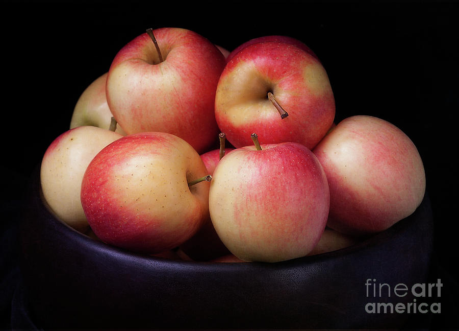 Gala Apples #1 Photograph by Ann Jacobson