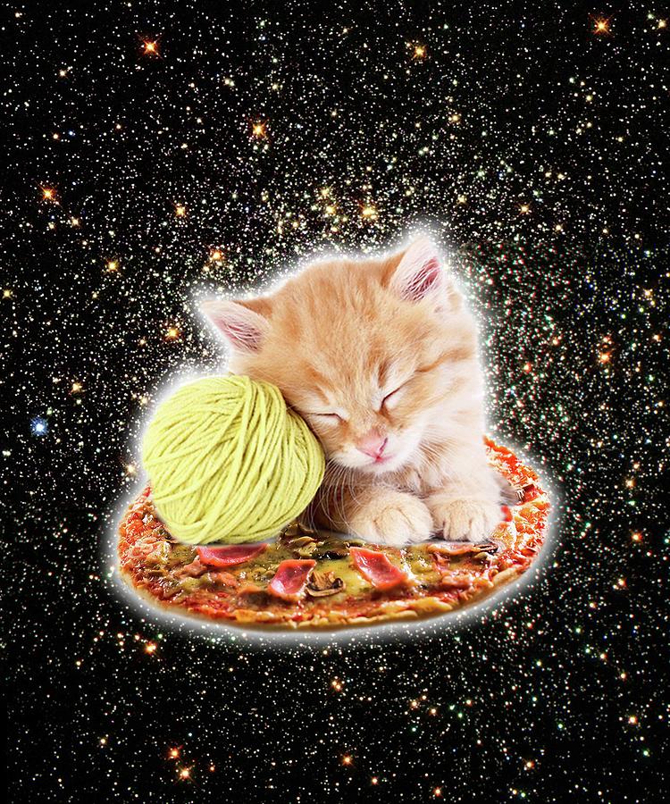 kitten pizza