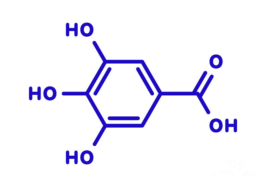 Tea Photograph - Gallic Acid Molecule #1 by Molekuul/science Photo Library