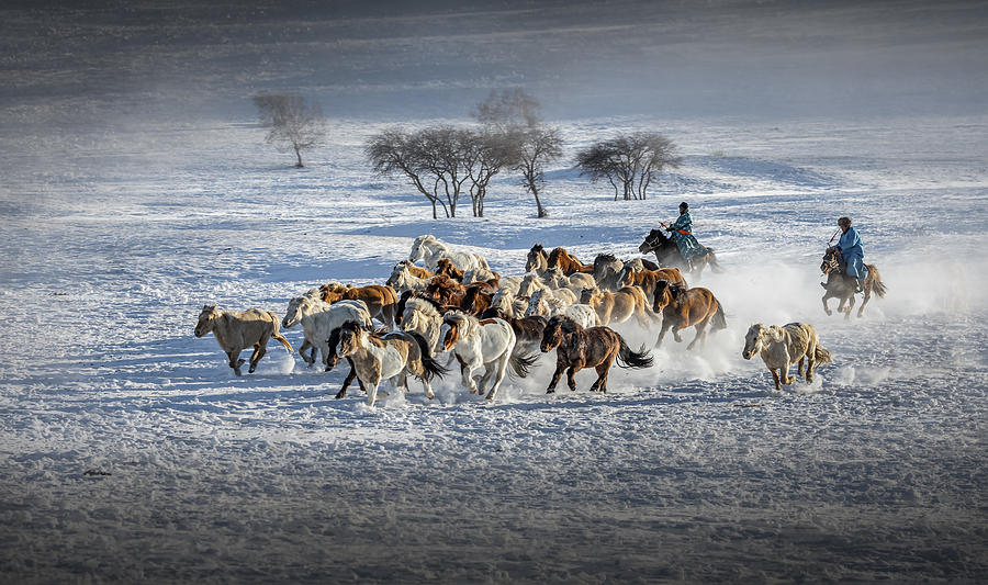 Galloping Horses #1 Photograph by Irene Yu Wu
