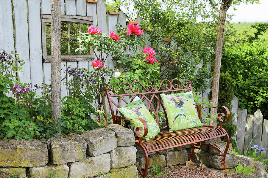 Garden Bench In Front Of Blooming Woody Peony On A Dry Stone Wall #1 Photograph by Domingo Vazquez