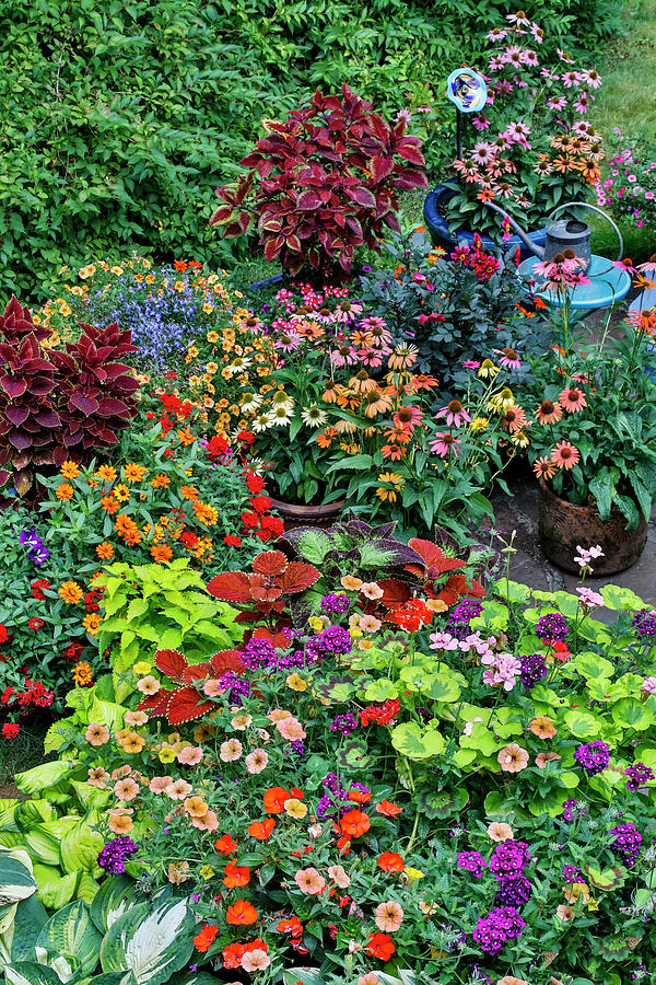 Garden In Full Bloom, Sammamish Photograph by Darrell Gulin - Fine Art