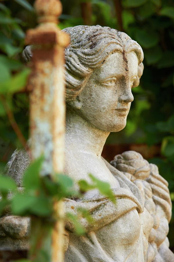 Garden Statue Photograph by Greg Rannells - Fine Art America