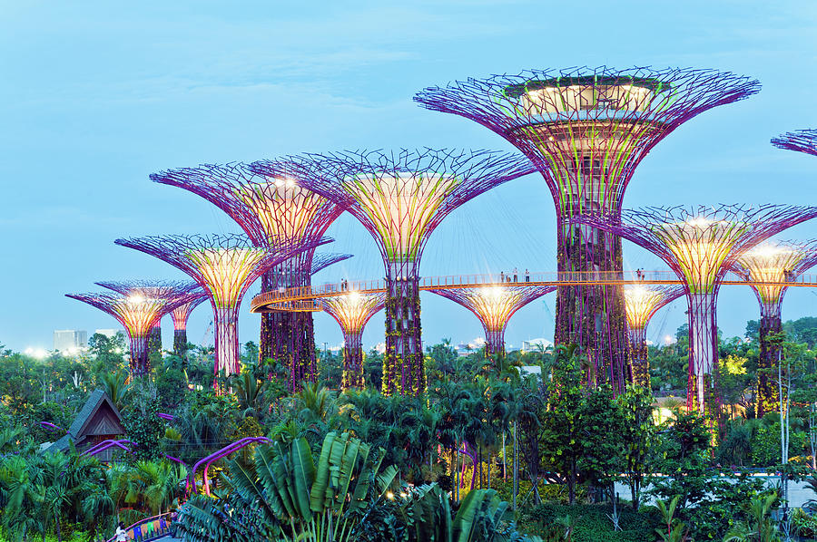 Gardens By The Bay, Singapore #1 Photograph by John Harper