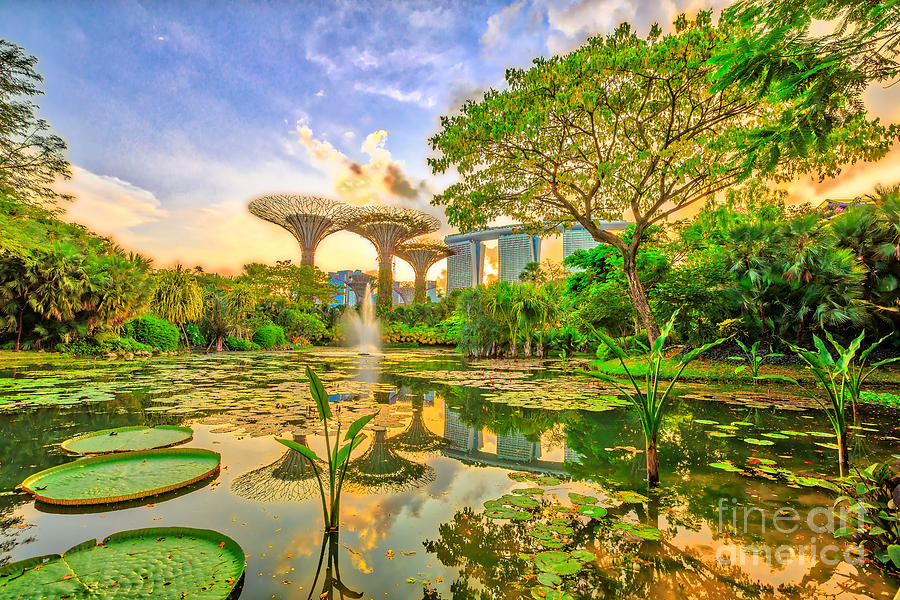 Gardens by the Bay sunset #1 Photograph by Benny Marty