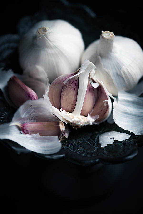 Garlic allium Sativum #1 Photograph by Kati Neudert