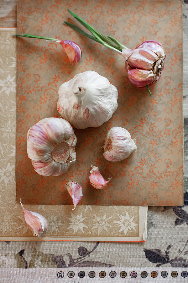 Garlic Bulbs & Clove #1 Photograph by Alicja Koll