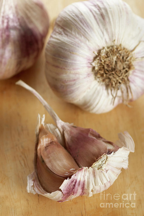 Garlic #1 Photograph by Rowland Roques Oneil/science Photo Library