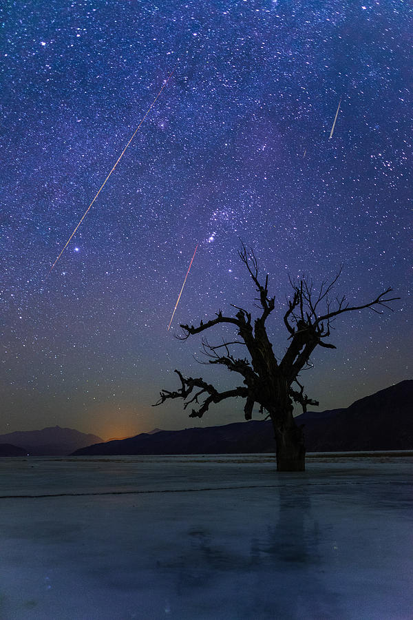 Winter Photograph - Gemini Meteor Show #1 by Stanley Lee