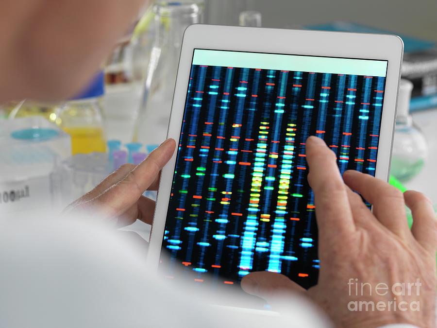 Genetic Test Results 1 By Tek Image Science Photo Library