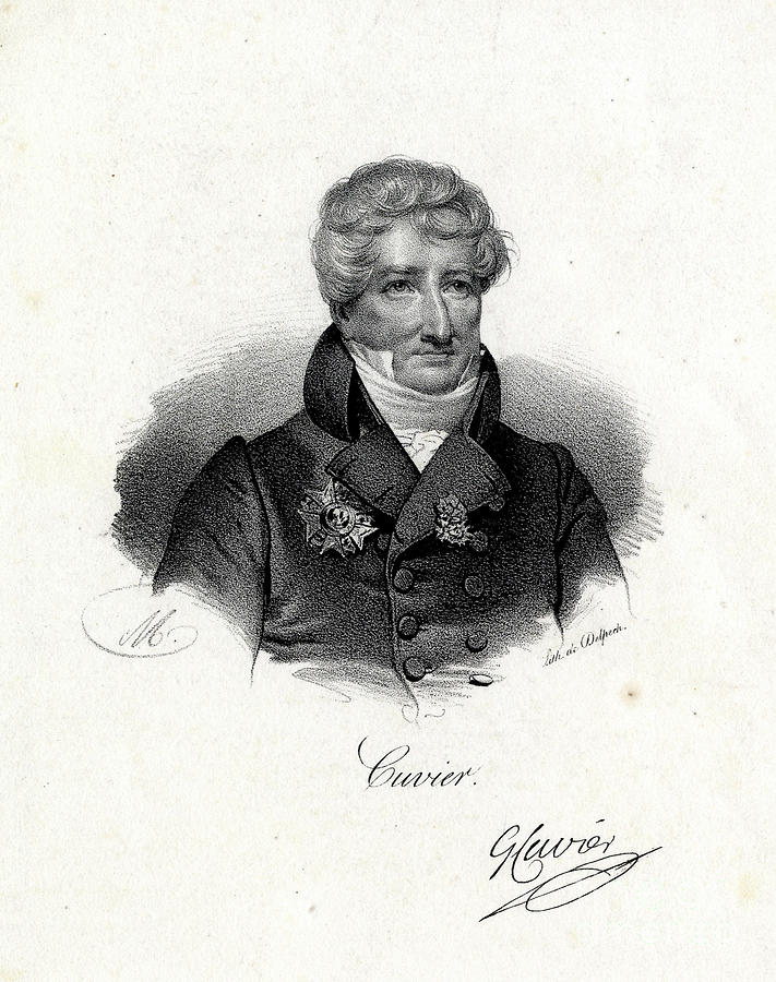 Georges Cuvier #1 Photograph by Natural History Museum, London/science Photo Library