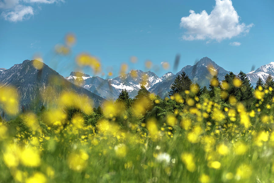 Germany, Bavaria, Alps, Oberallgaeu, Oberstdorf, Summer Landscape ...