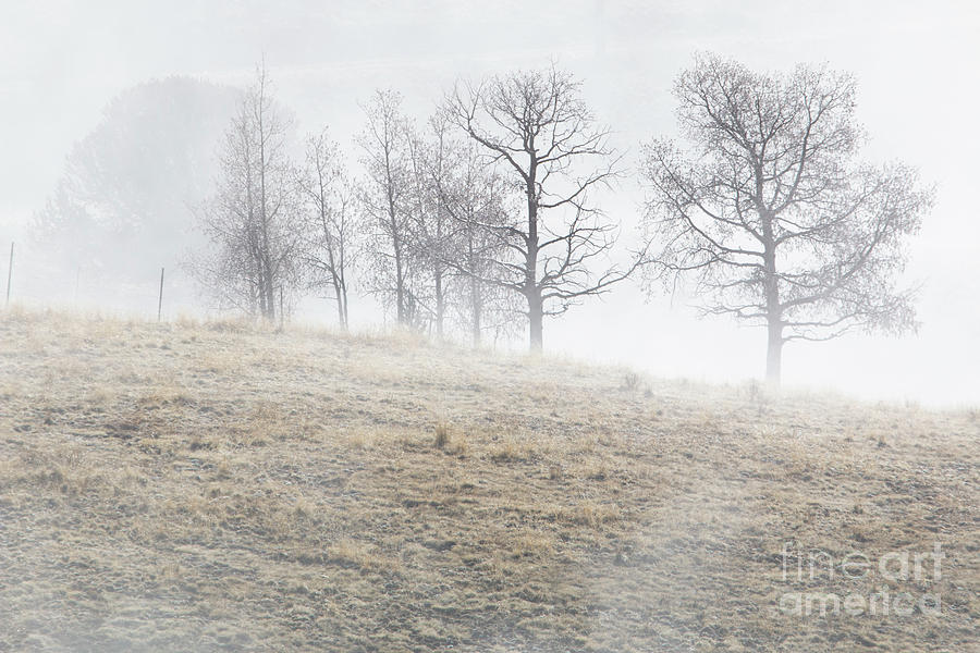 Ghostly Figures in Foggy Mine Country #1 Photograph by Steven Krull