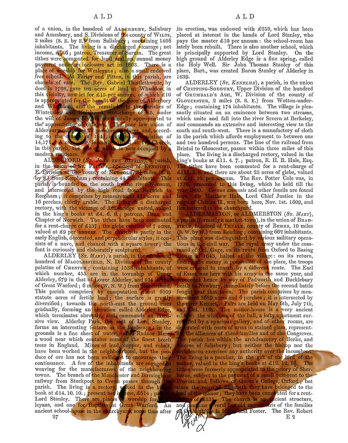 Animal Painting - Ginger Cat With Crown Full #1 by Fab Funky