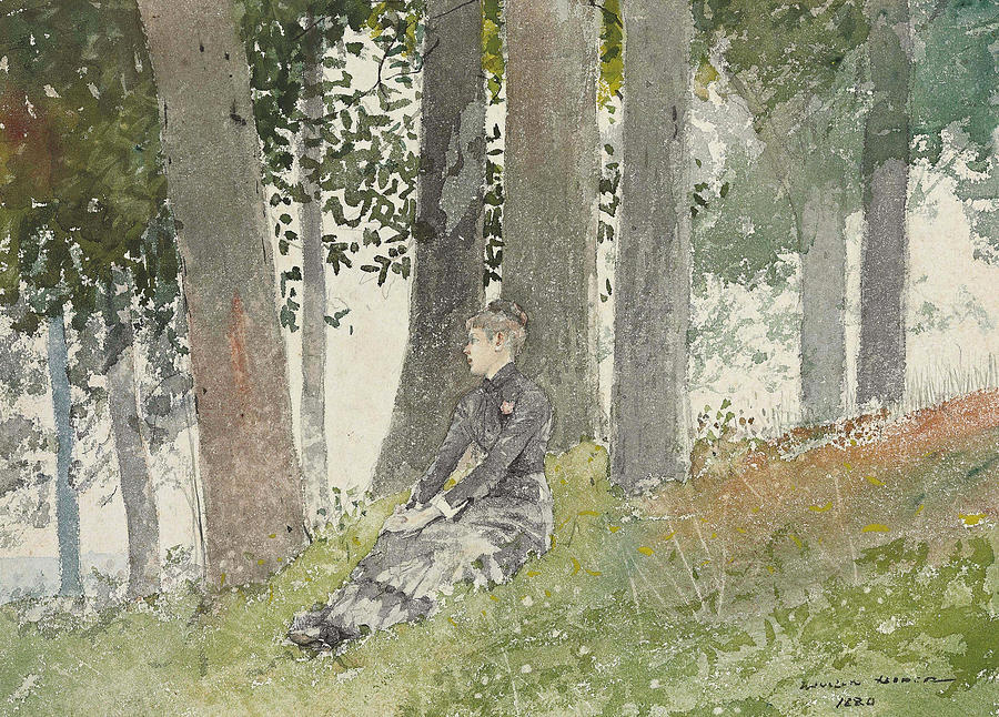 Girl Seated in a Grove Drawing by Winslow Homer