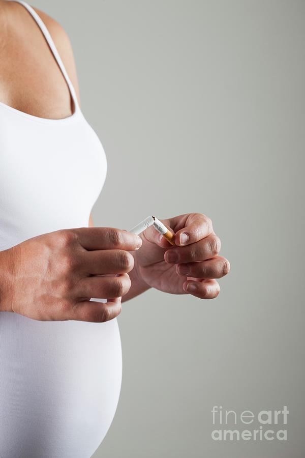 Giving Up Smoking In Pregnancy #1 Photograph by Cristina Pedrazzini/science Photo Library