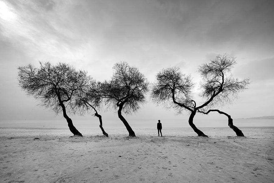 Tree Photograph - Glance #1 by Hakan Biyiklioglu