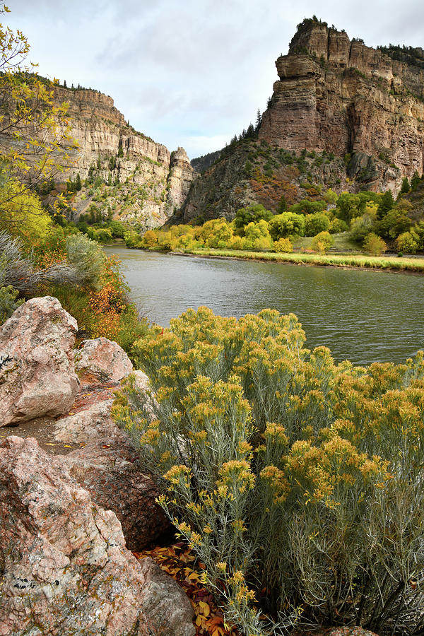 Glenwood Canyon Fall Colors #1 Photograph by Ray Mathis
