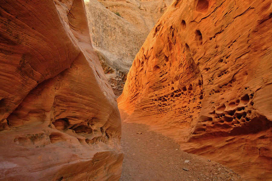 Glowing Walls of Little Wild Horse Canyon in Utah #1 Photograph by Ray Mathis