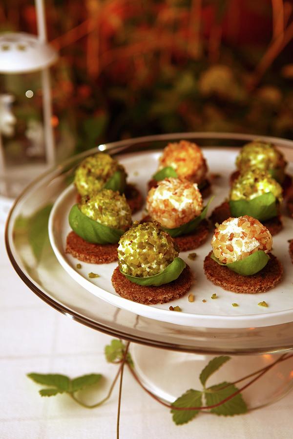Goats Cheese Balls With Basil, Pistachios And Nuts #1 Photograph by Viola Cajo