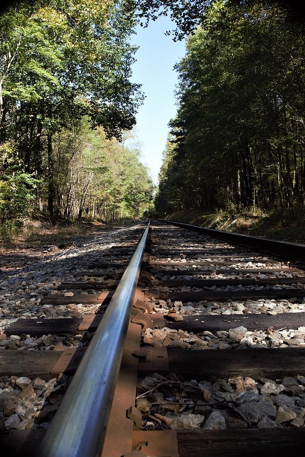 Going Down the Rail by Karen Harrison Going Down the Rail by Karen Harrison