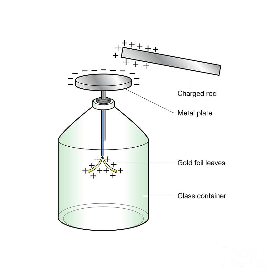 Gold Leaf Electroscope #1 Photograph by Science Photo Library