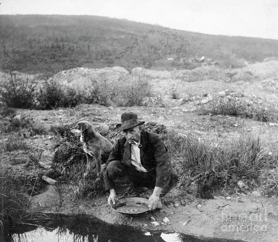 Gold Panning #1 Photograph by Library Of Congress/science Photo Library